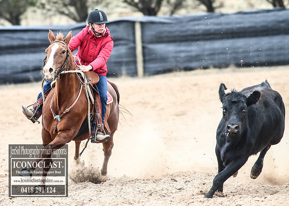 GoulburnCampdraft2018_8045