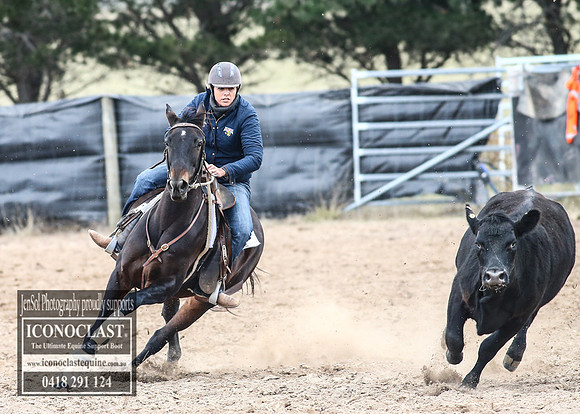 GoulburnCampdraft2018_8056