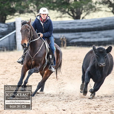 GoulburnCampdraft2018_8067