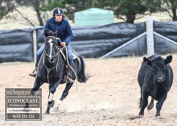 GoulburnCampdraft2018_8073