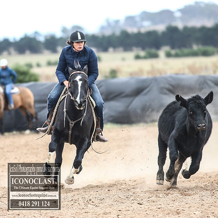 GoulburnCampdraft2018_8083