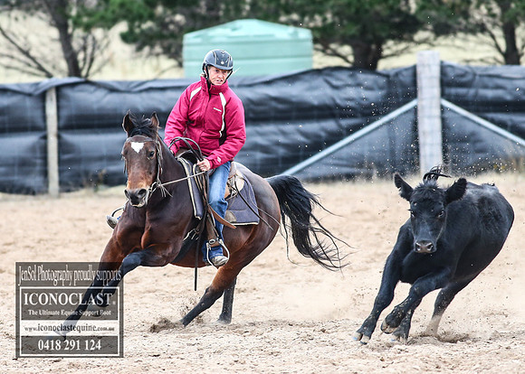 GoulburnCampdraft2018_8095