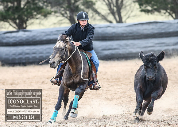 GoulburnCampdraft2018_8103