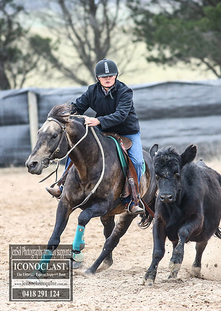 GoulburnCampdraft2018_8107