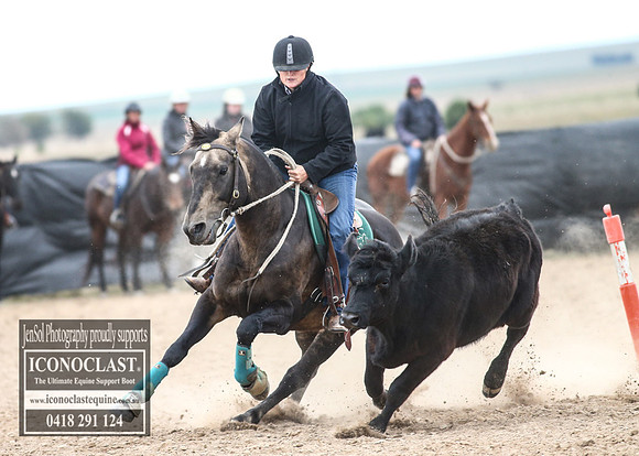 GoulburnCampdraft2018_8113