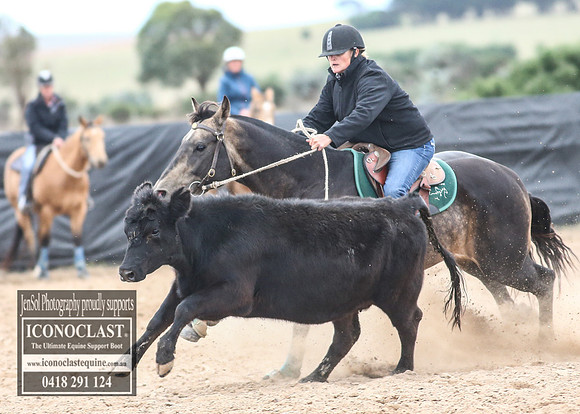 GoulburnCampdraft2018_8115