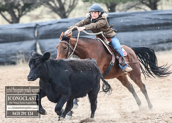 GoulburnCampdraft2018_8131