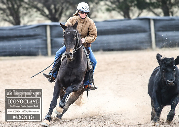 GoulburnCampdraft2018_8149
