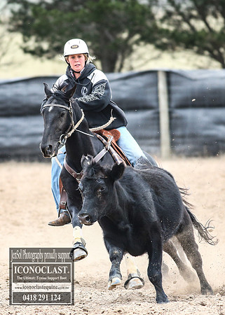 GoulburnCampdraft2018_8158