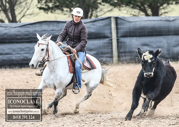 GoulburnCampdraft2018_8169