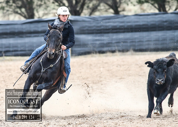 GoulburnCampdraft2018_8183