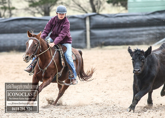 GoulburnCampdraft2018_8191