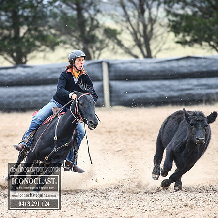 GoulburnCampdraft2018_8223