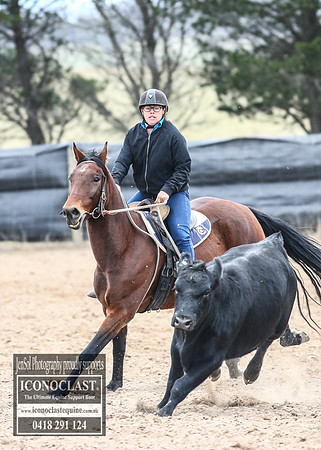 GoulburnCampdraft2018_8182