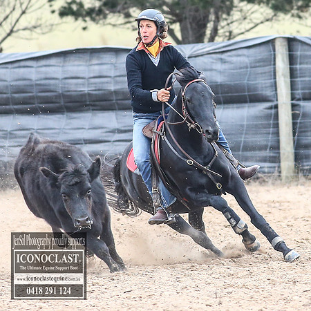 GoulburnCampdraft2018_8248
