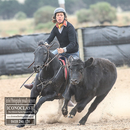 GoulburnCampdraft2018_8252