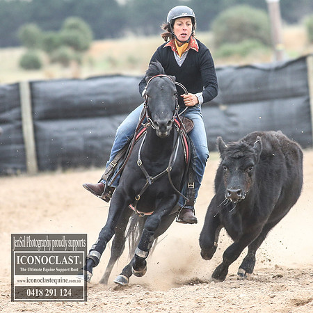 GoulburnCampdraft2018_8268