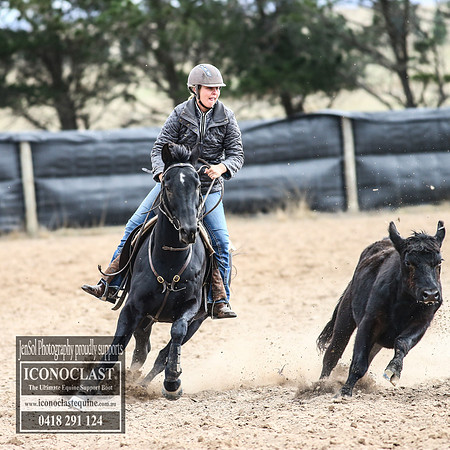 GoulburnCampdraft2018_8274