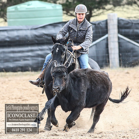 GoulburnCampdraft2018_8281