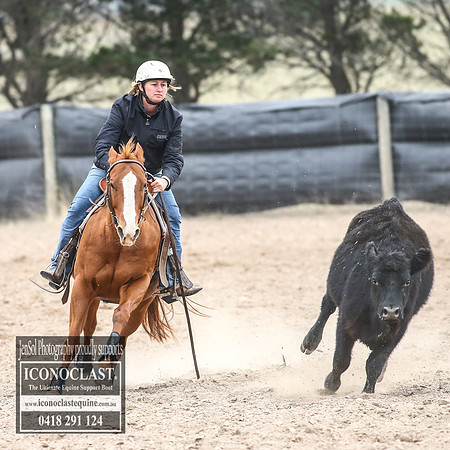 GoulburnCampdraft2018_8290