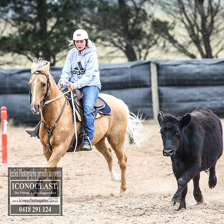 GoulburnCampdraft2018_8295