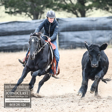 GoulburnCampdraft2018_8303