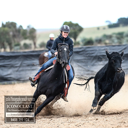 GoulburnCampdraft2018_8317