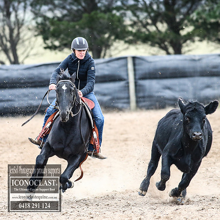 GoulburnCampdraft2018_8308