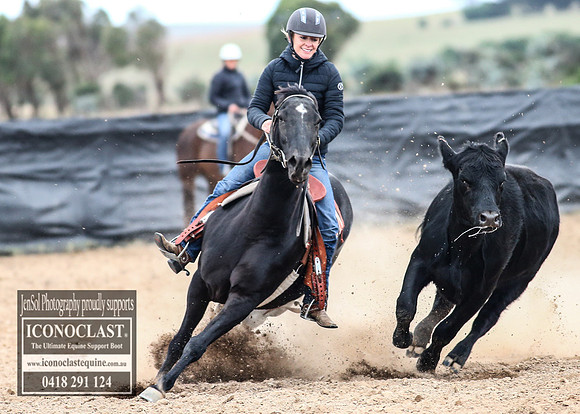 GoulburnCampdraft2018_8323