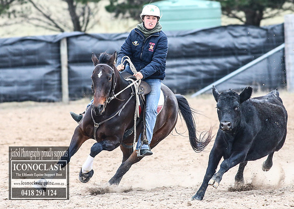 GoulburnCampdraft2018_8331