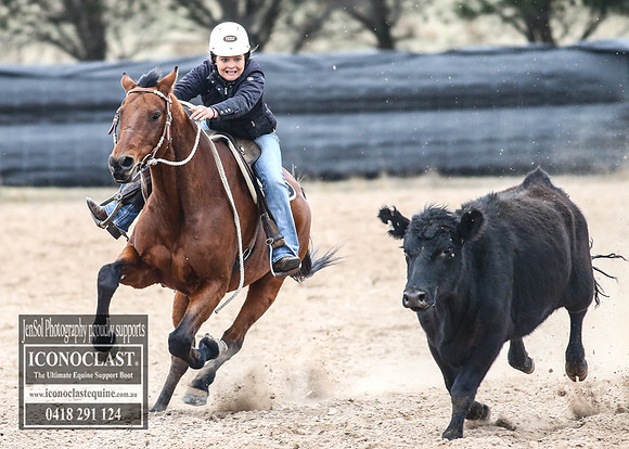 GoulburnCampdraft2018_8345