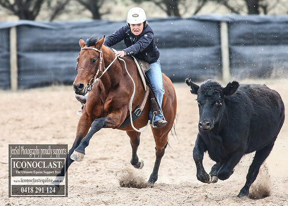 GoulburnCampdraft2018_8353