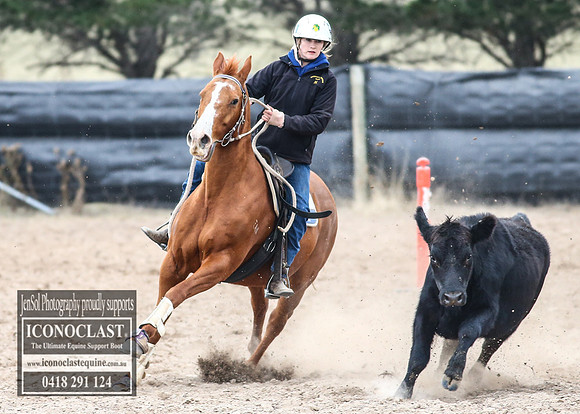 GoulburnCampdraft2018_8368