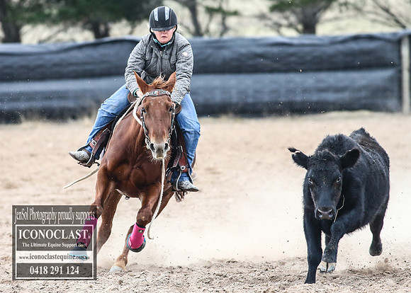 GoulburnCampdraft2018_8373