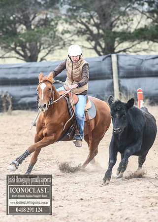 GoulburnCampdraft2018_8391