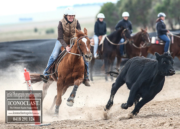 GoulburnCampdraft2018_8396