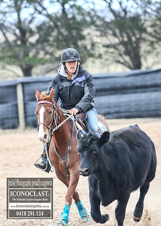 GoulburnCampdraft2018_8421