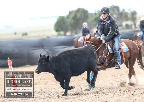 GoulburnCampdraft2018_8428