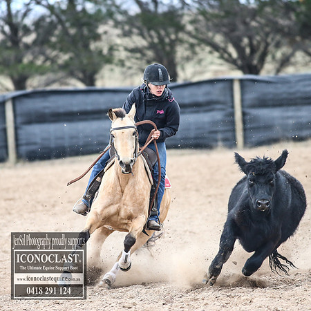 GoulburnCampdraft2018_8439