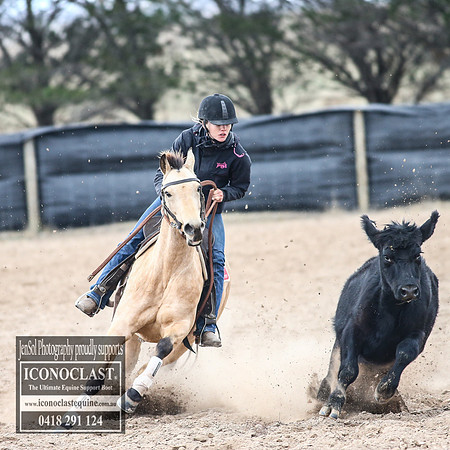 GoulburnCampdraft2018_8440
