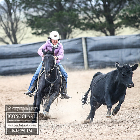 GoulburnCampdraft2018_8451