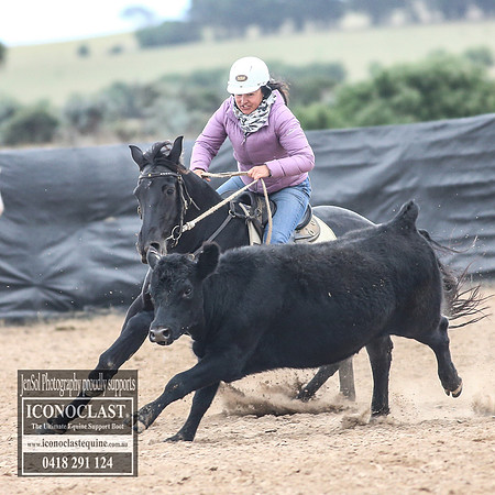 GoulburnCampdraft2018_8454