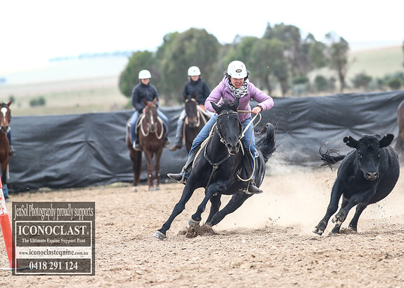 GoulburnCampdraft2018_8459