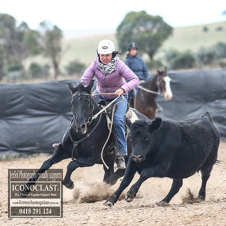 GoulburnCampdraft2018_8463
