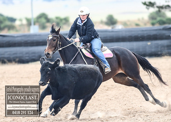 GoulburnCampdraft2018_8471