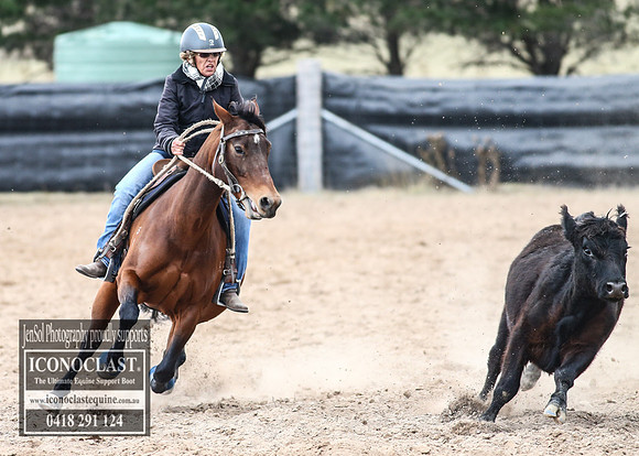 GoulburnCampdraft2018_8483