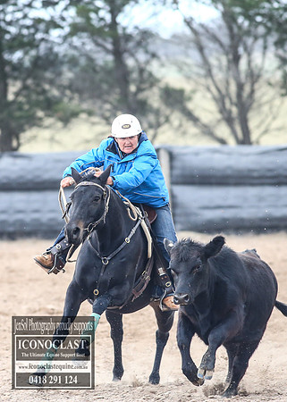GoulburnCampdraft2018_8496
