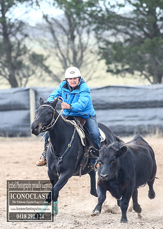 GoulburnCampdraft2018_8498
