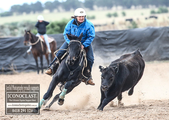 GoulburnCampdraft2018_8503