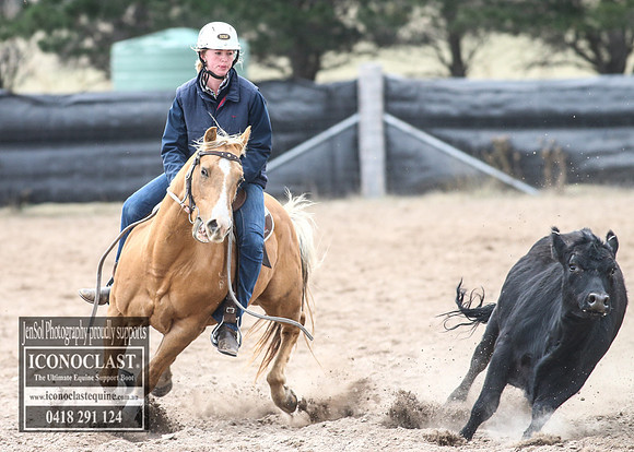GoulburnCampdraft2018_8515